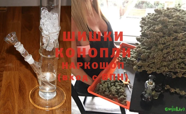 амф Алексин