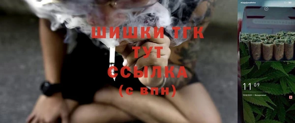 амф Алексин