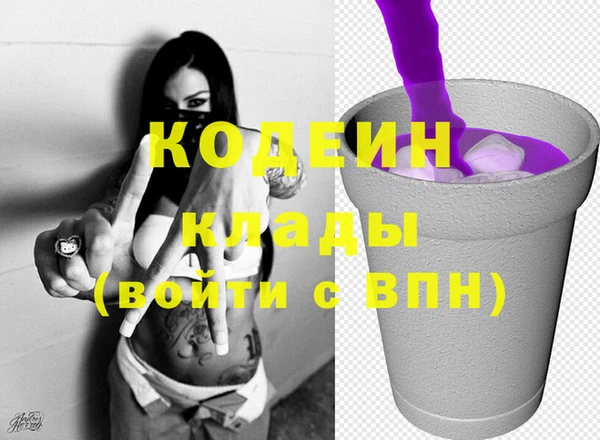 молекула духа Алзамай