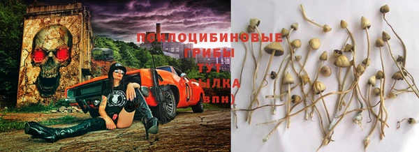 амф Алексин
