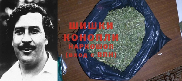 молекула духа Алзамай