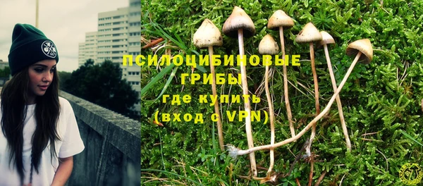 тгк Алексеевка