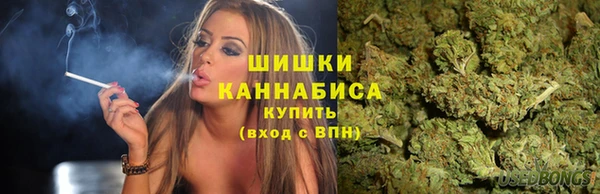 молекула духа Алзамай